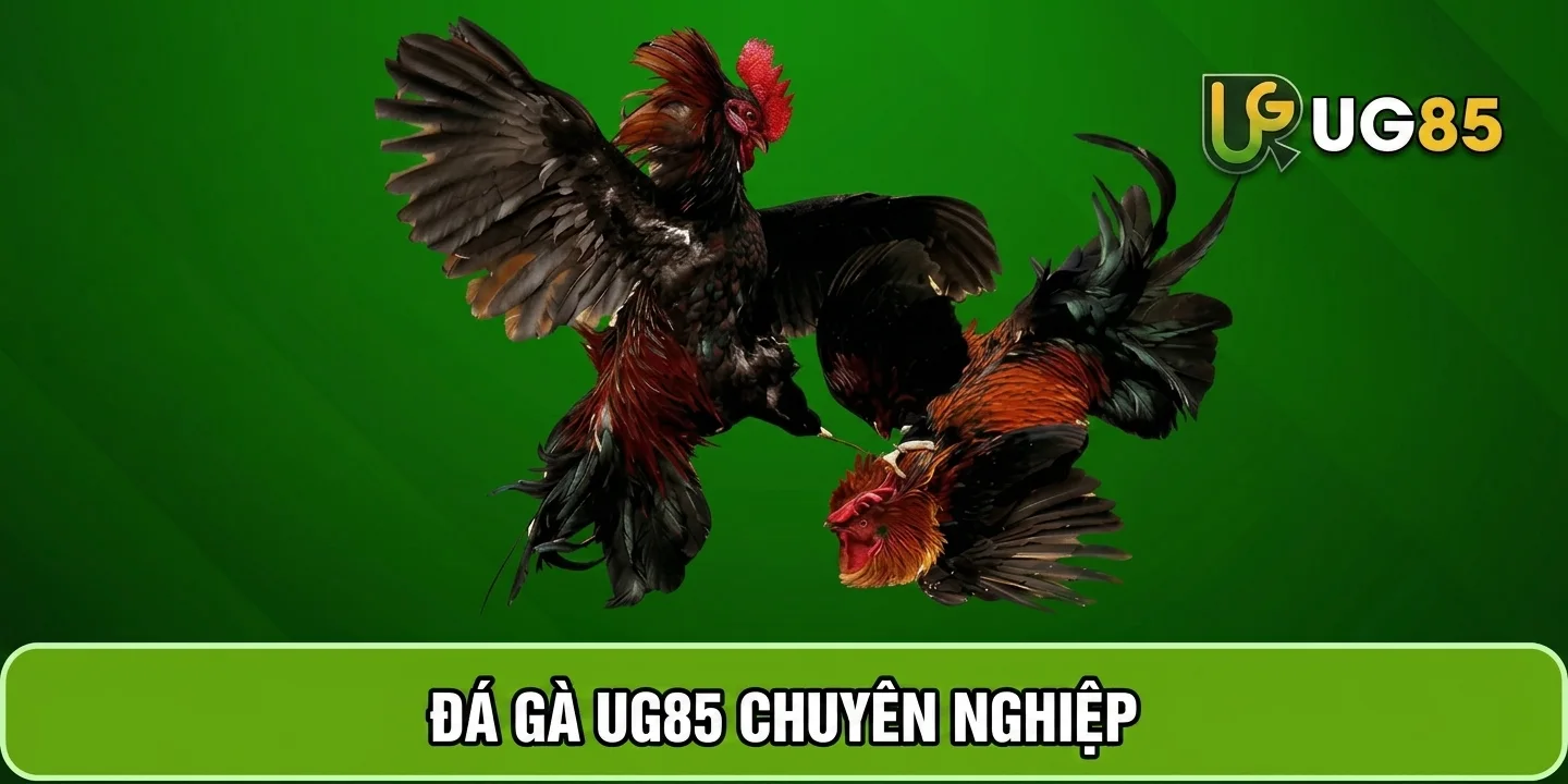Hình ảnh sản phẩm đá gà
