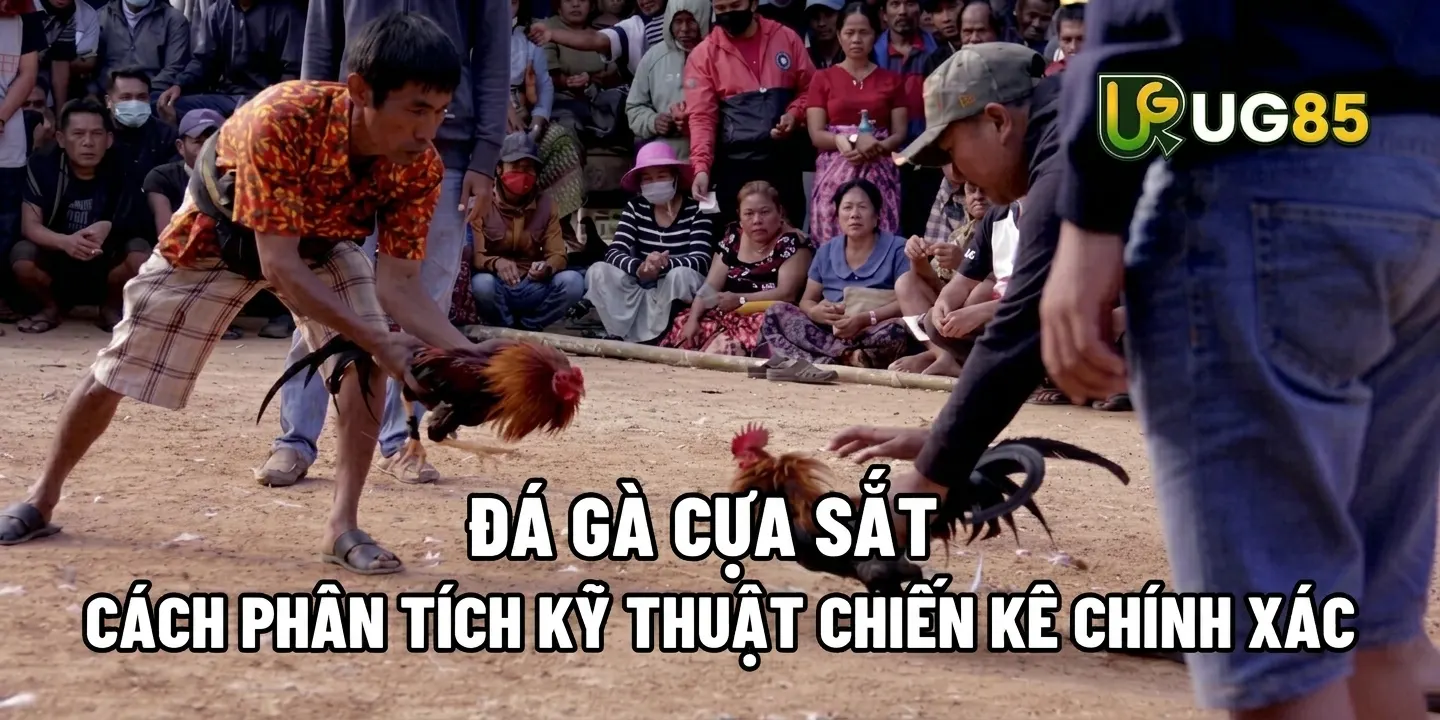 ĐÁ GÀ CỰA SẮT - CÁCH PHÂN TÍCH KỸ THUẬT CHIẾN KÊ CHÍNH XÁC