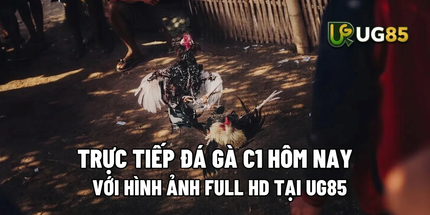 TRỰC TIẾP ĐÁ GÀ C1 HÔM NAY VỚI HÌNH ẢNH FULL HD TẠI UG345